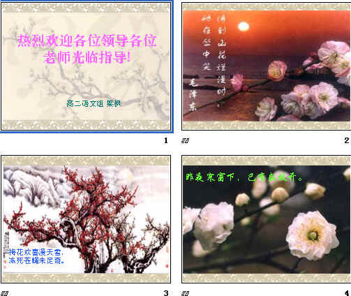 查看预览图