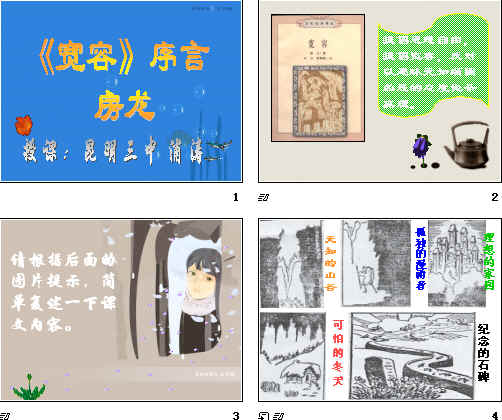 查看预览图