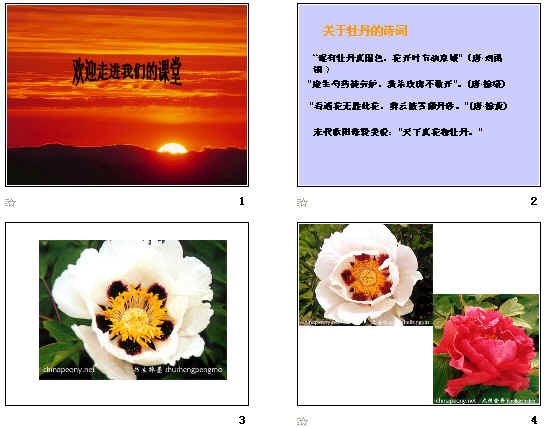 鿴Ԥͼ