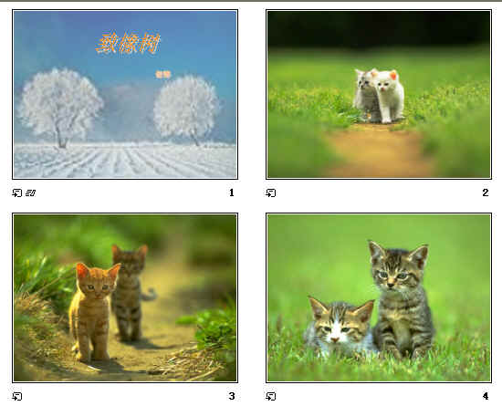 查看预览图