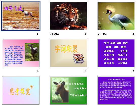 鿴Ԥͼ