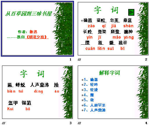 查看预览图