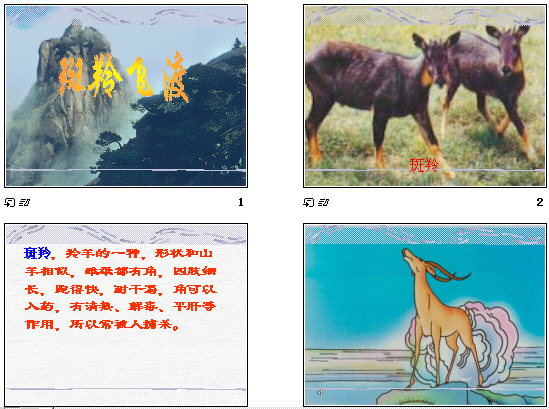 鿴Ԥͼ