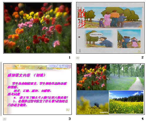 查看预览图