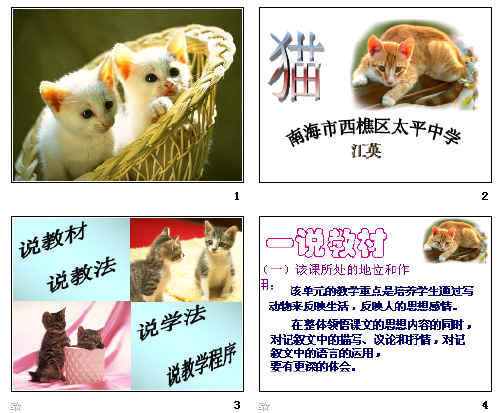 鿴Ԥͼ