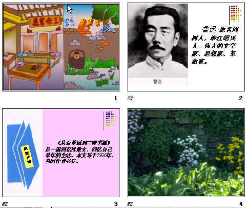 查看预览图