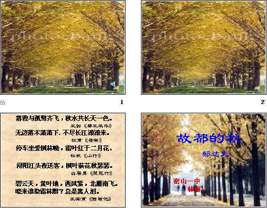 查看预览图