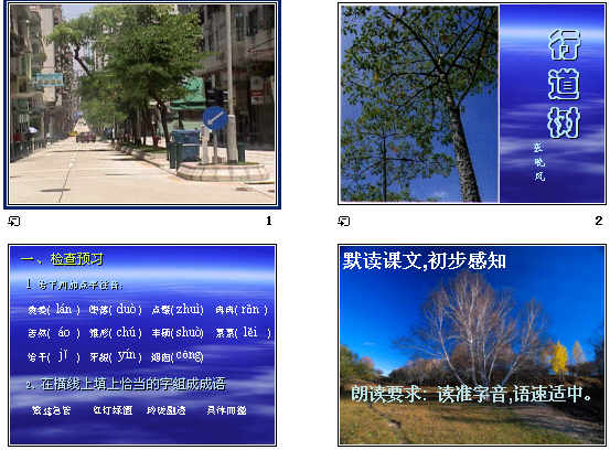 查看预览图