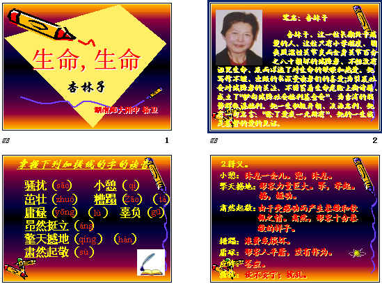 查看预览图