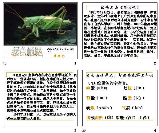 鿴Ԥͼ
