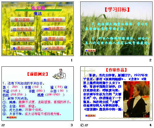 鿴Ԥͼ