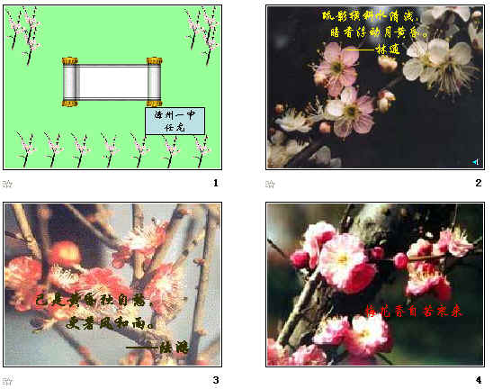 鿴Ԥͼ
