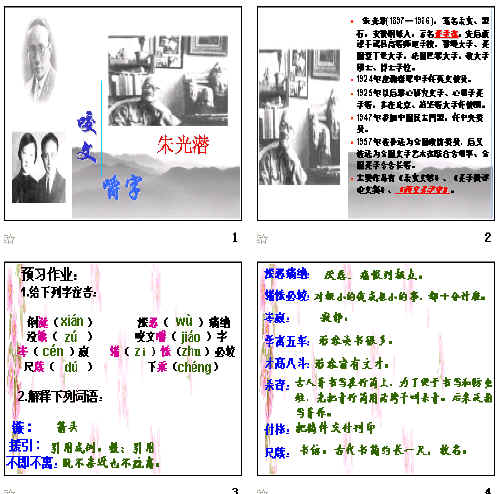 查看预览图