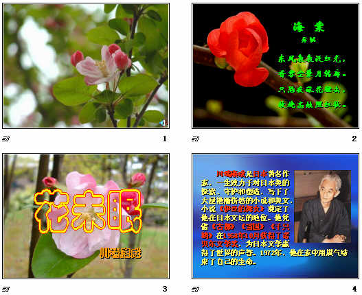 鿴Ԥͼ