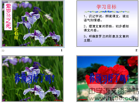 查看预览图