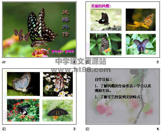 鿴Ԥͼ