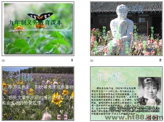 查看预览图