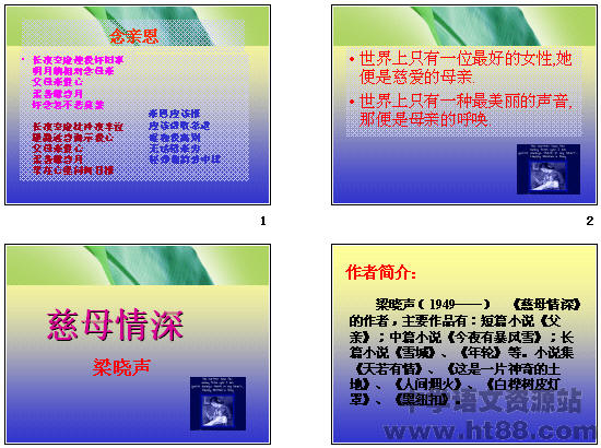 鿴Ԥͼ
