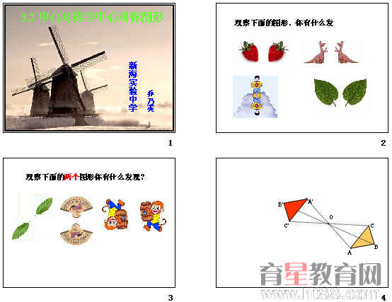 鿴Ԥͼ