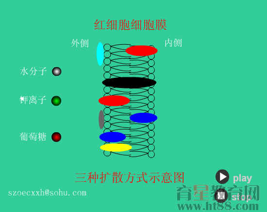 鿴Ԥͼ