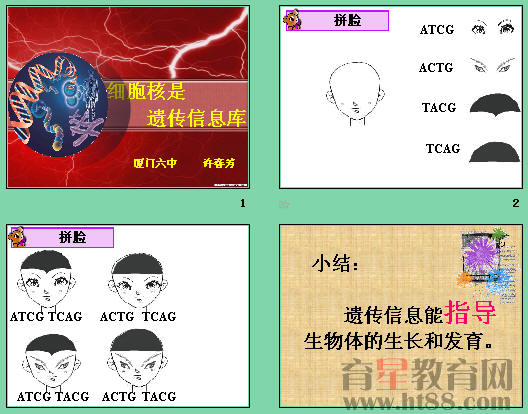 查看预览图