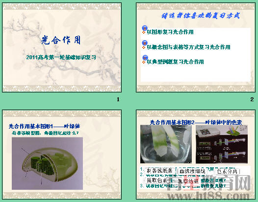 鿴Ԥͼ