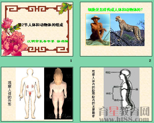 鿴Ԥͼ
