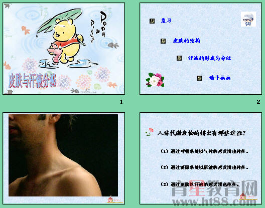 鿴Ԥͼ