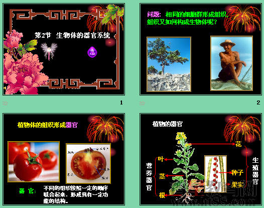 鿴Ԥͼ