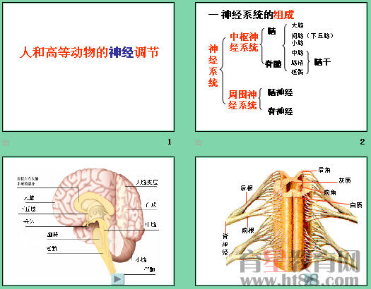 鿴Ԥͼ