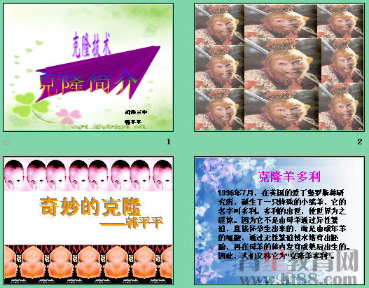 鿴Ԥͼ