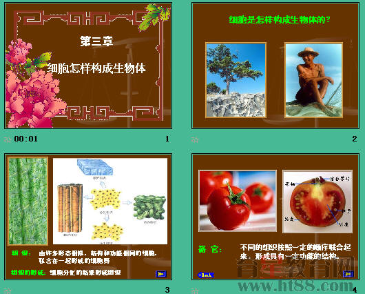 鿴Ԥͼ