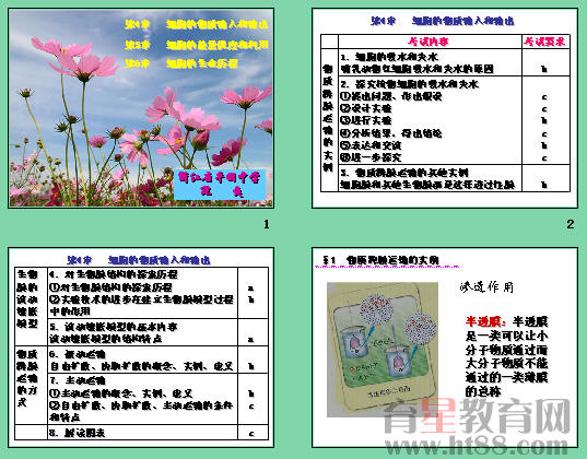 鿴Ԥͼ
