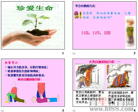 查看预览图