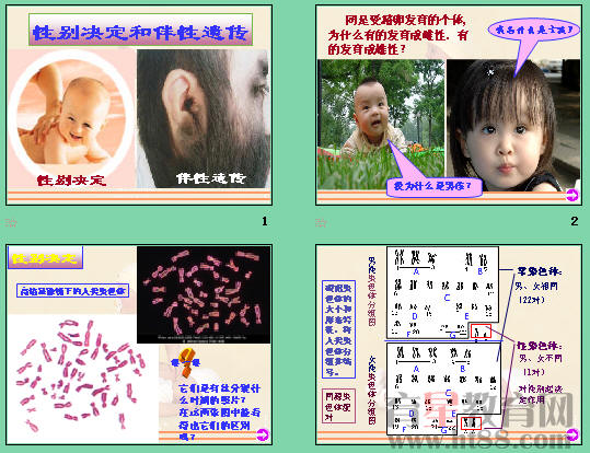 鿴Ԥͼ