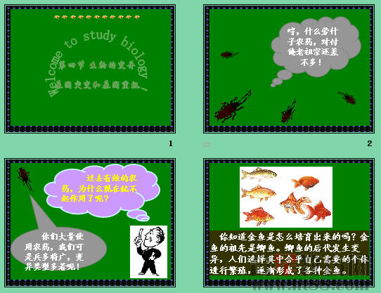 查看预览图