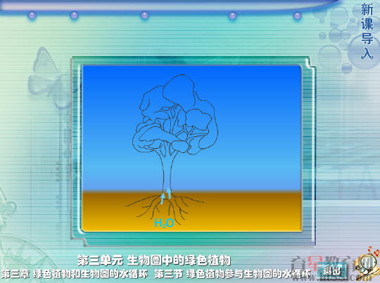 鿴Ԥͼ
