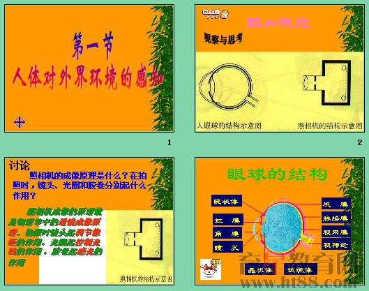 鿴Ԥͼ