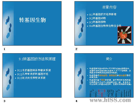 查看预览图