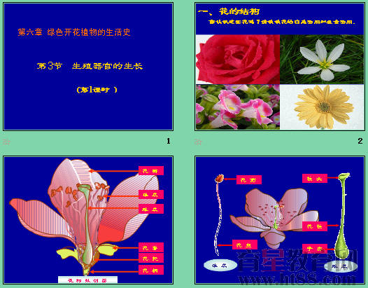 鿴Ԥͼ
