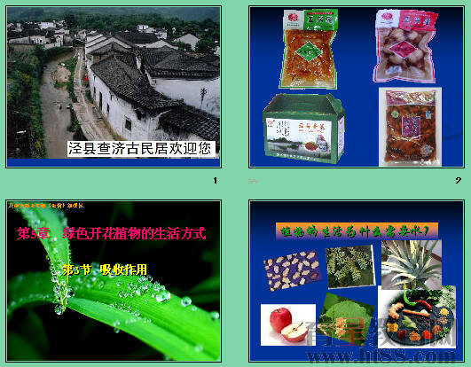鿴Ԥͼ
