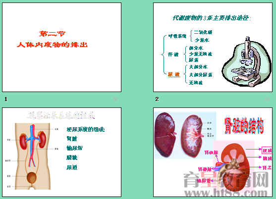 鿴Ԥͼ