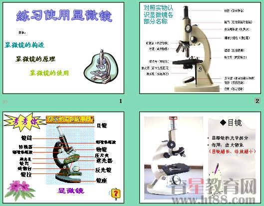鿴Ԥͼ