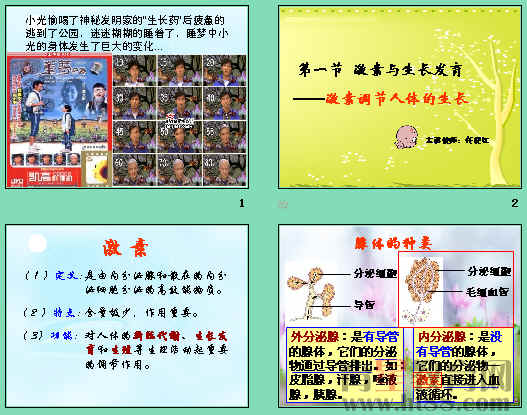 查看预览图