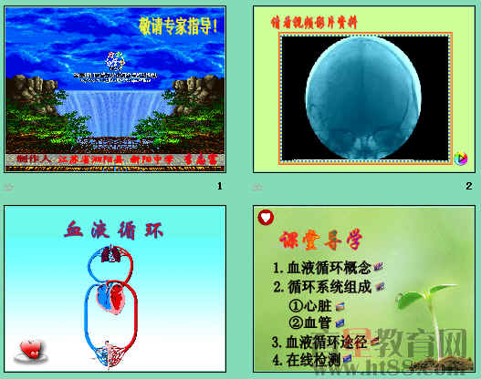 查看预览图