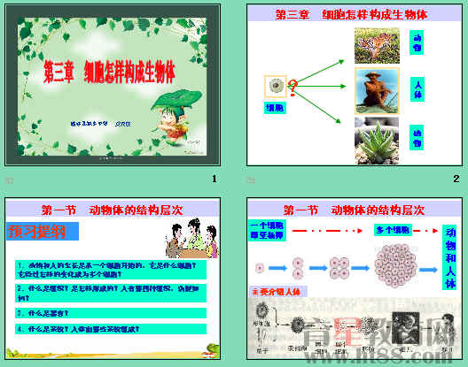查看预览图