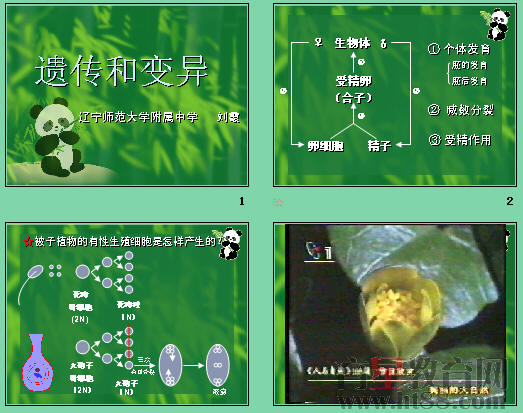 鿴Ԥͼ
