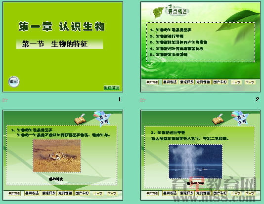 鿴Ԥͼ