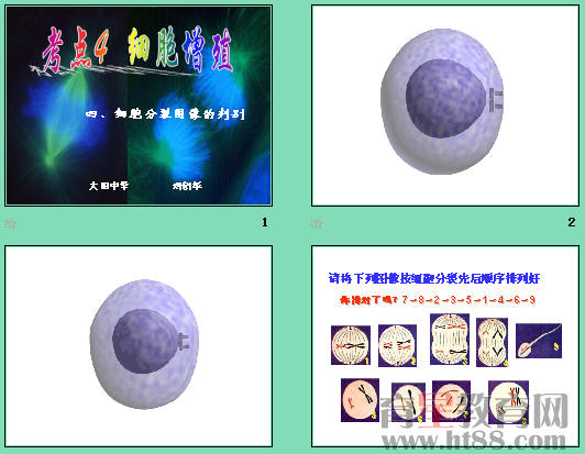 鿴Ԥͼ