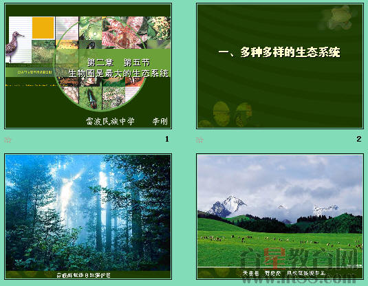 鿴Ԥͼ